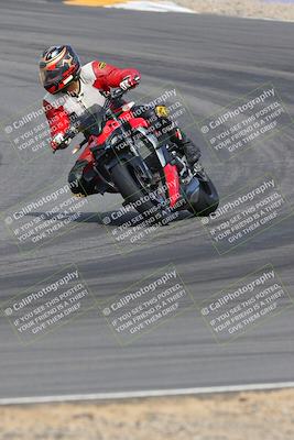 media/Mar-12-2023-SoCal Trackdays (Sun) [[d4c8249724]]/Turns 9 and 10 (1020am)/